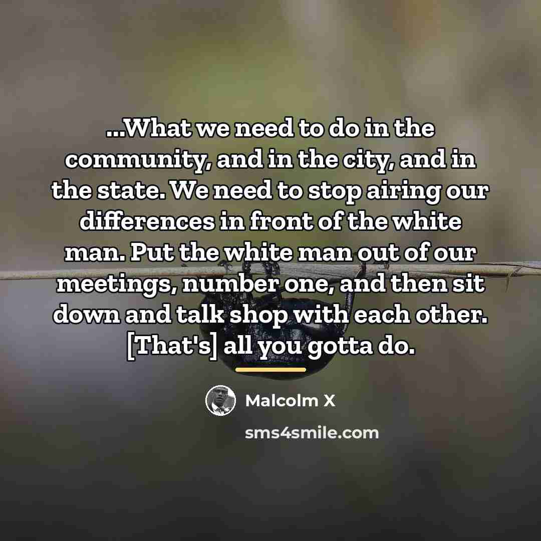 “...What we need to do in the community, and in…” quote by Malcolm X