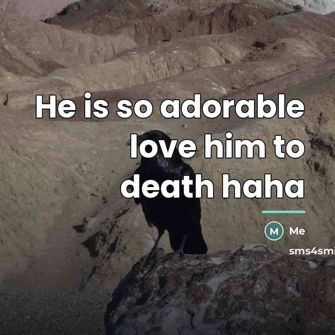 “He is so adorable love him to death haha…” quote by Me
