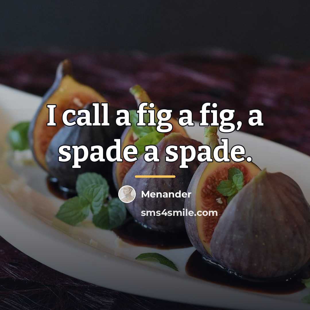 “I call a fig a fig, a spade a spade.…” quote by Menander
