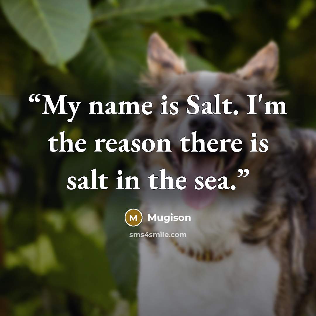 “My name is Salt. I'm the reason there is salt in the sea.” quote by Mugison