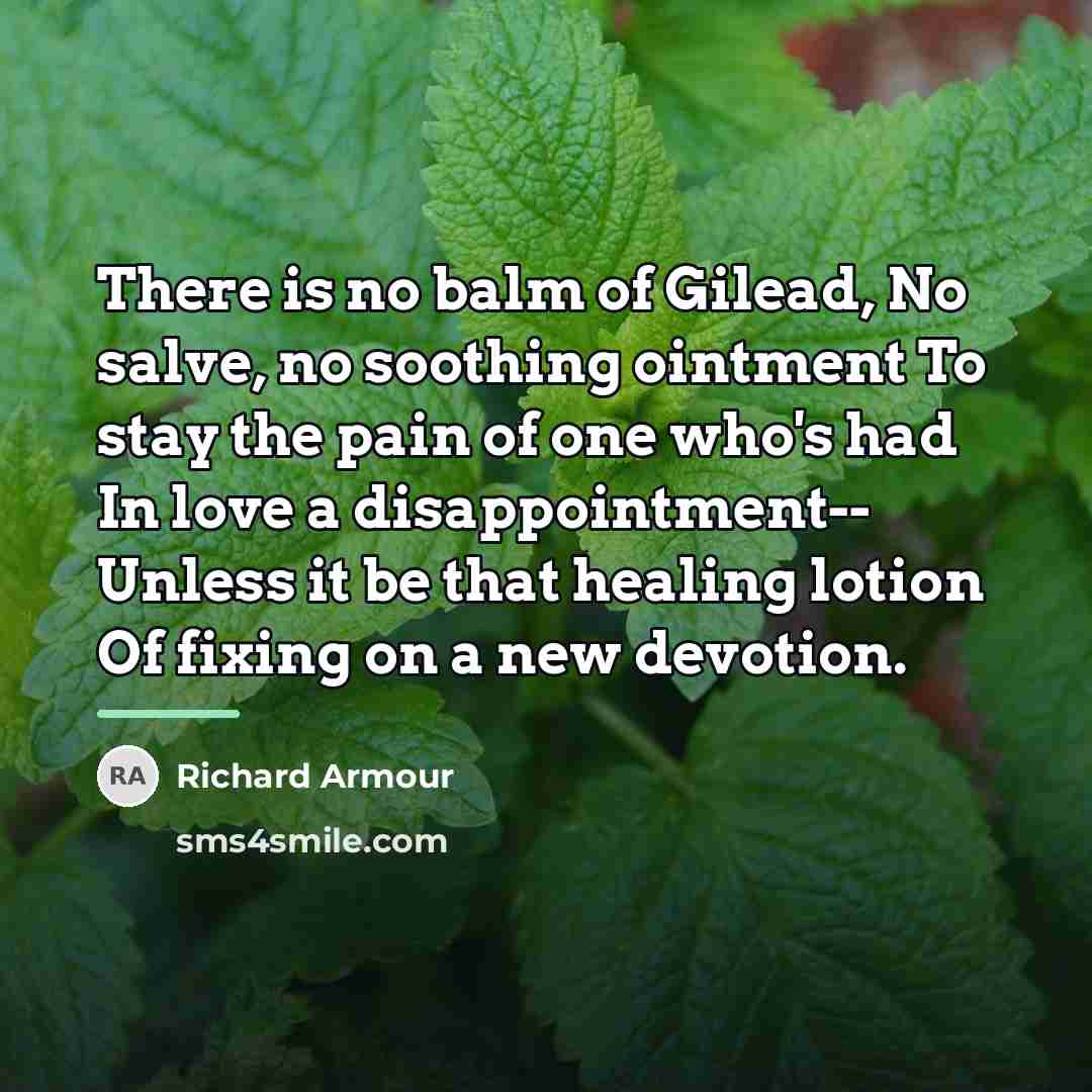 “There is no balm of Gilead, No salve, no soothing…” quote by Richard Armour