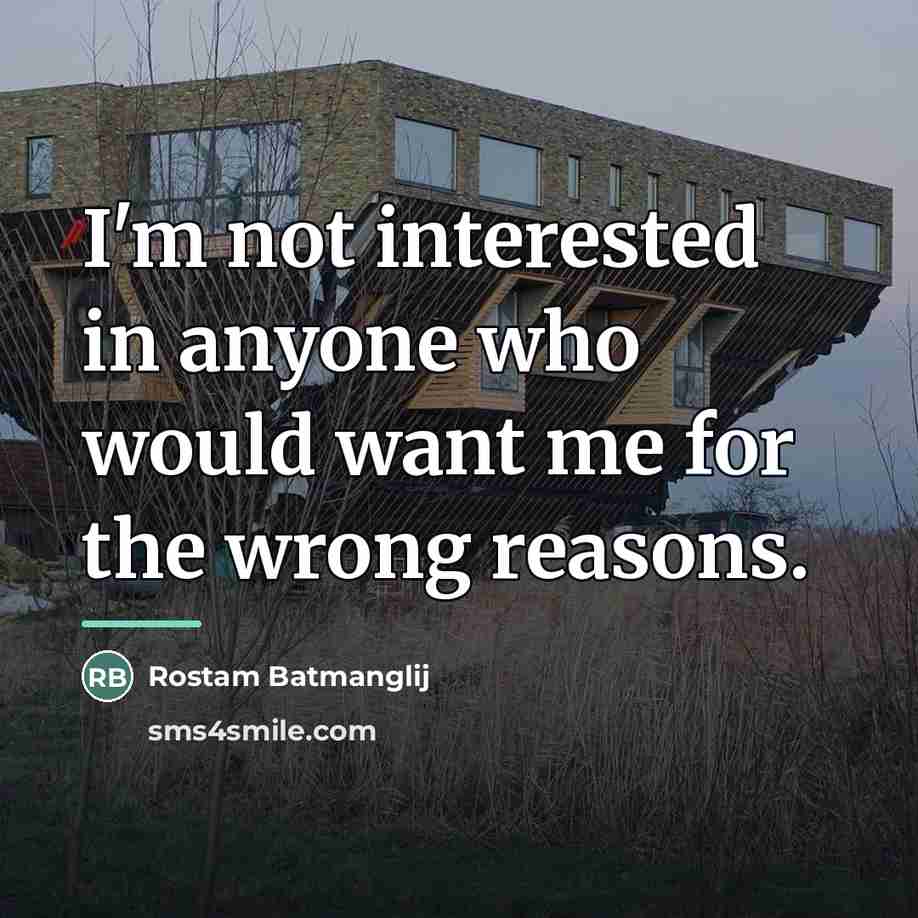 “I'm not interested in anyone who would want me for…” quote by Rostam Batmanglij