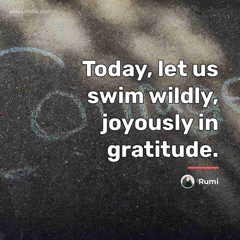“Today, let us swim wildly, joyously in gratitude.…” quote by Rumi