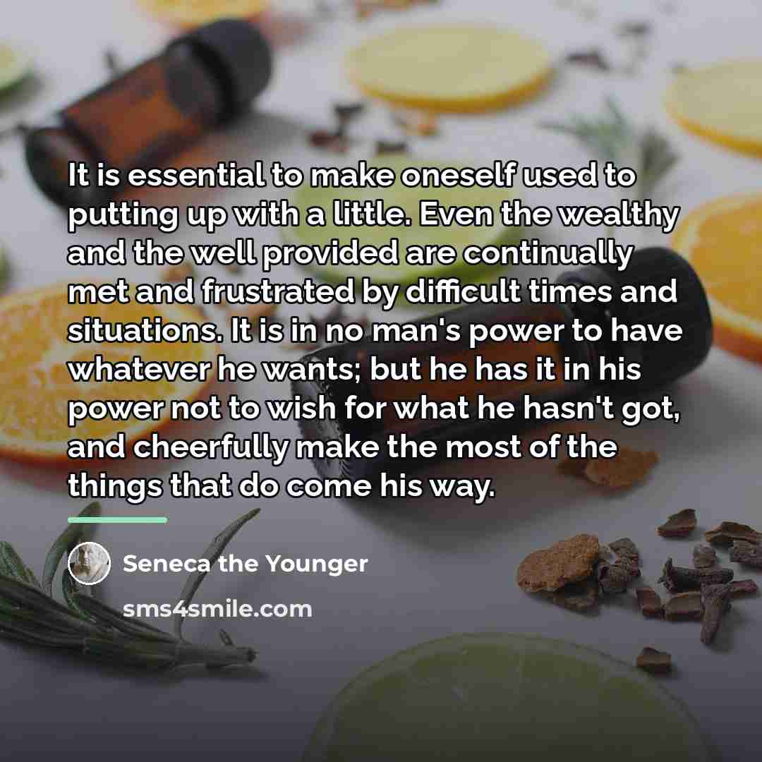 “It is essential to make oneself used to putting up…” quote by Seneca the Younger
