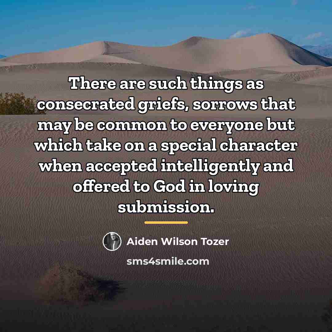 “There are such things as consecrated griefs, sorrows that may…” quote by Aiden Wilson Tozer