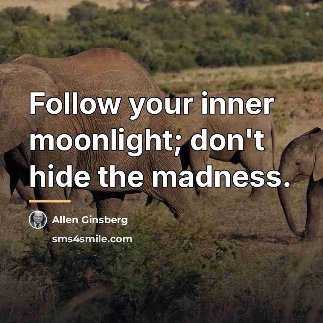 “Follow your inner moonlight; don't hide the madness.…” quote by Allen Ginsberg