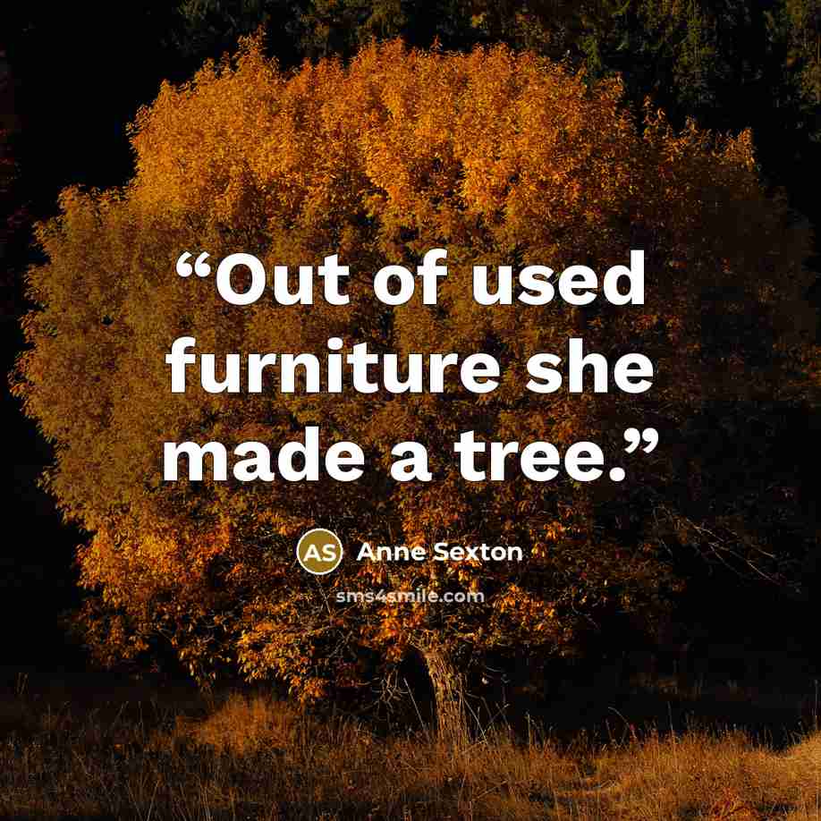 “Out of used furniture she made a tree.” quote by Anne Sexton