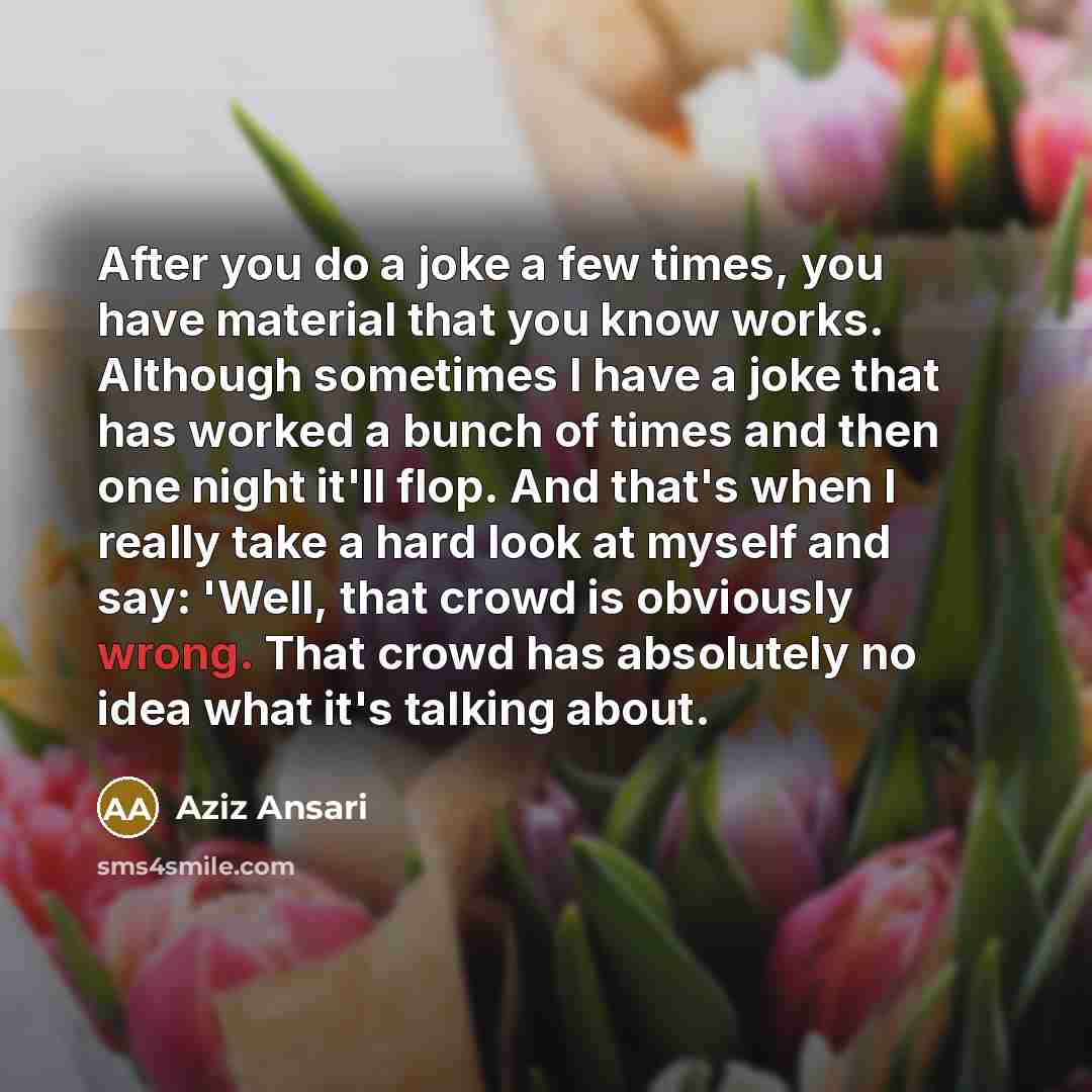 “After you do a joke a few times, you have…” quote by Aziz Ansari
