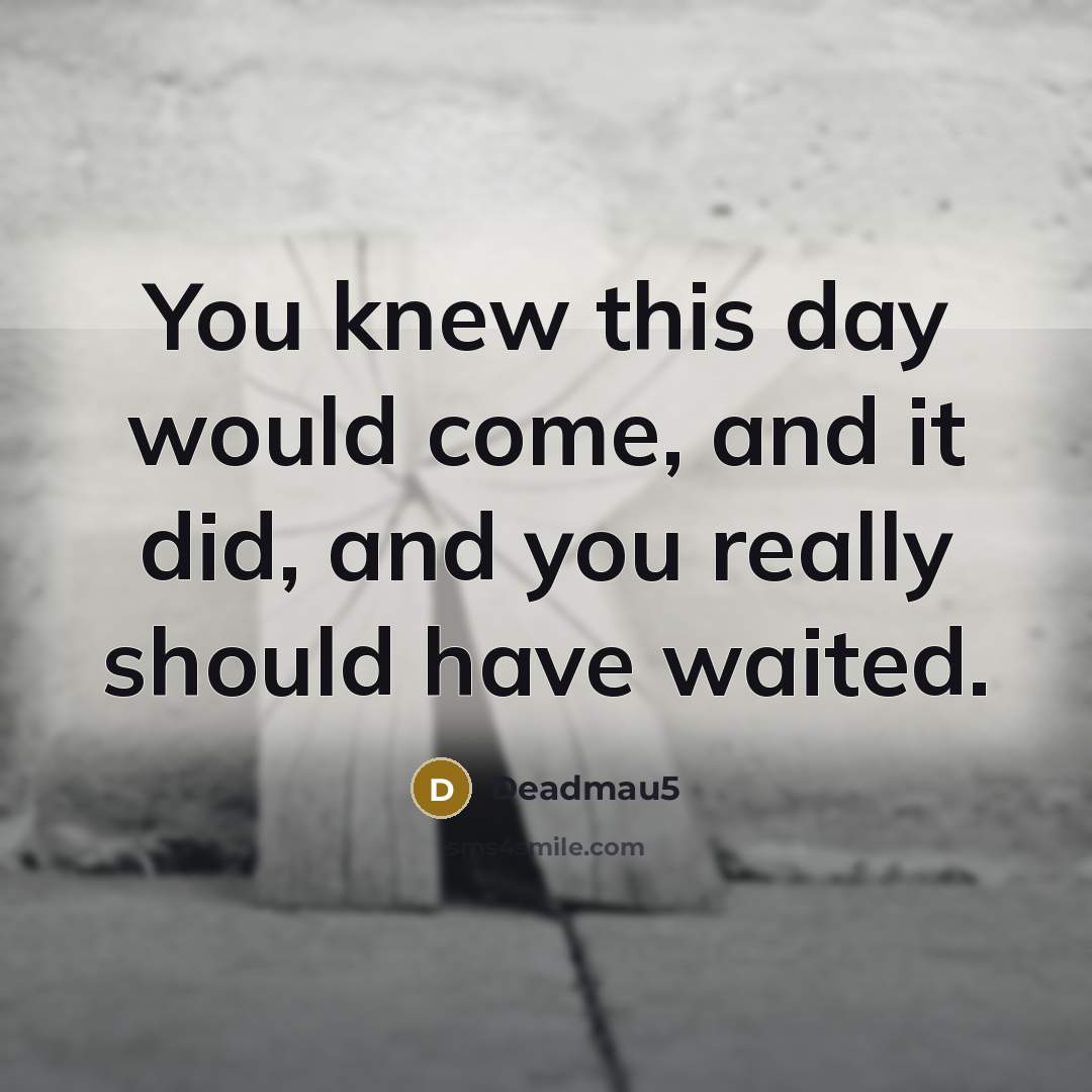 “You knew this day would come, and it did, and…” quote by Deadmau5