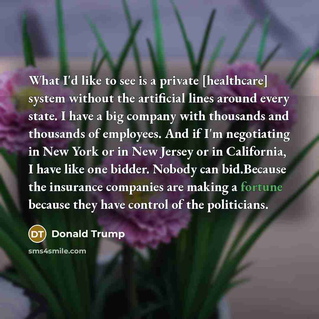 “What I'd like to see is a private [healthcare] system…” quote by Donald Trump