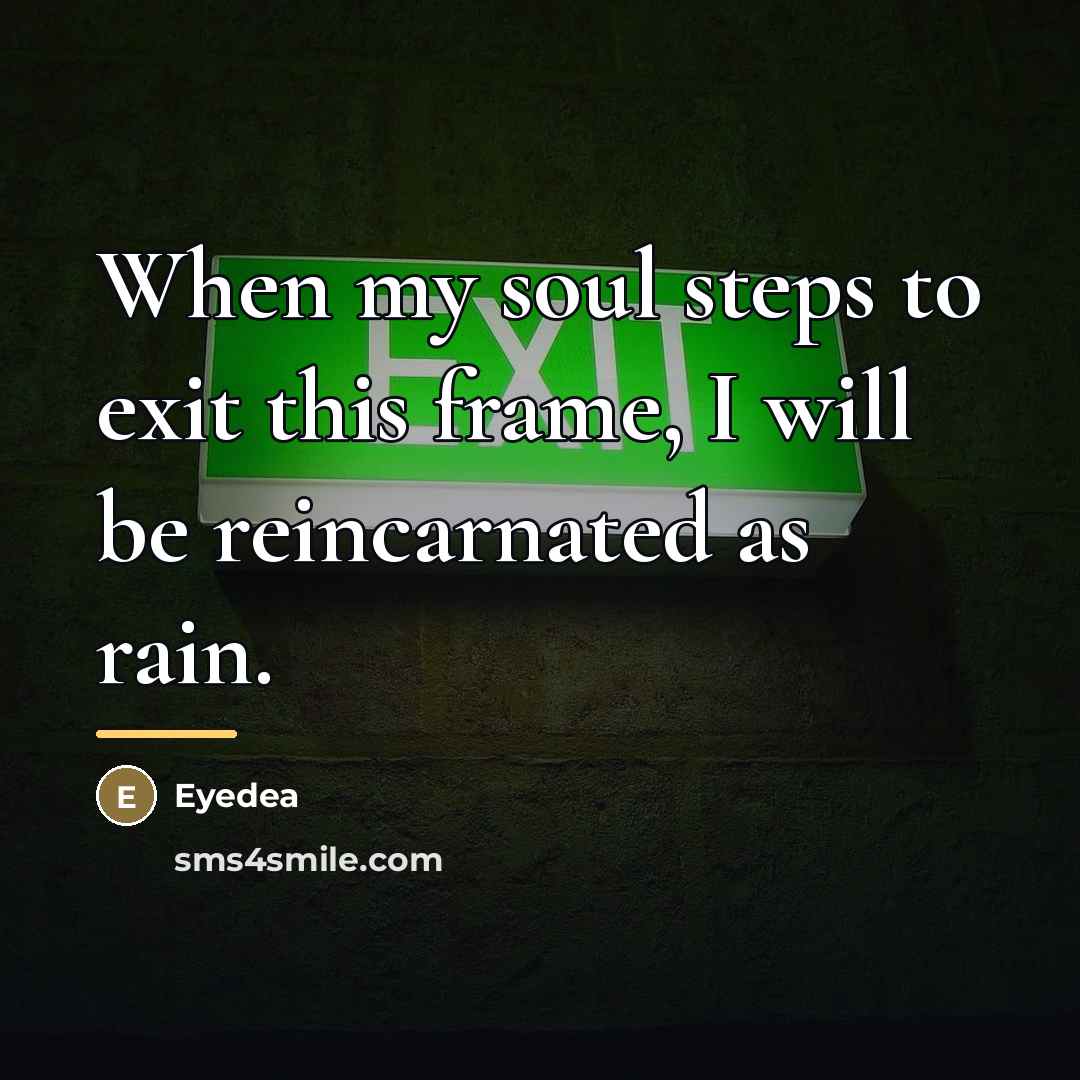 “When my soul steps to exit this frame, I will…” quote by Eyedea