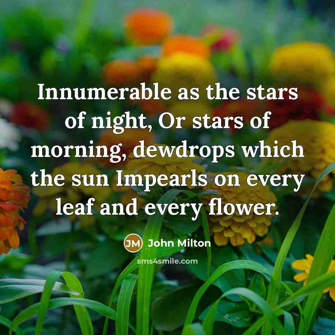 “Innumerable as the stars of night, Or stars of morning,…” quote by John Milton