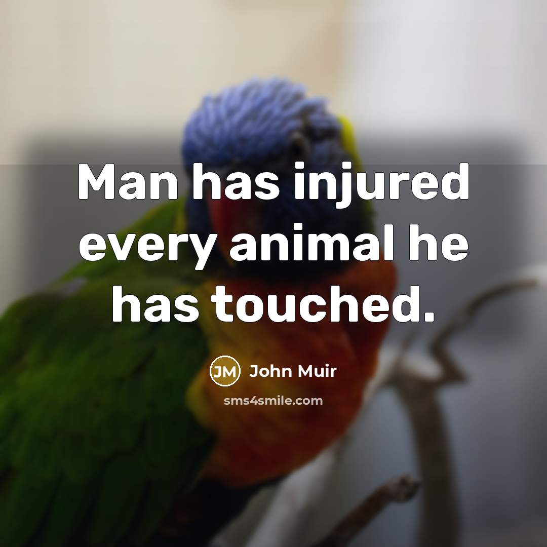 “Man has injured every animal he has touched.…” quote by John Muir