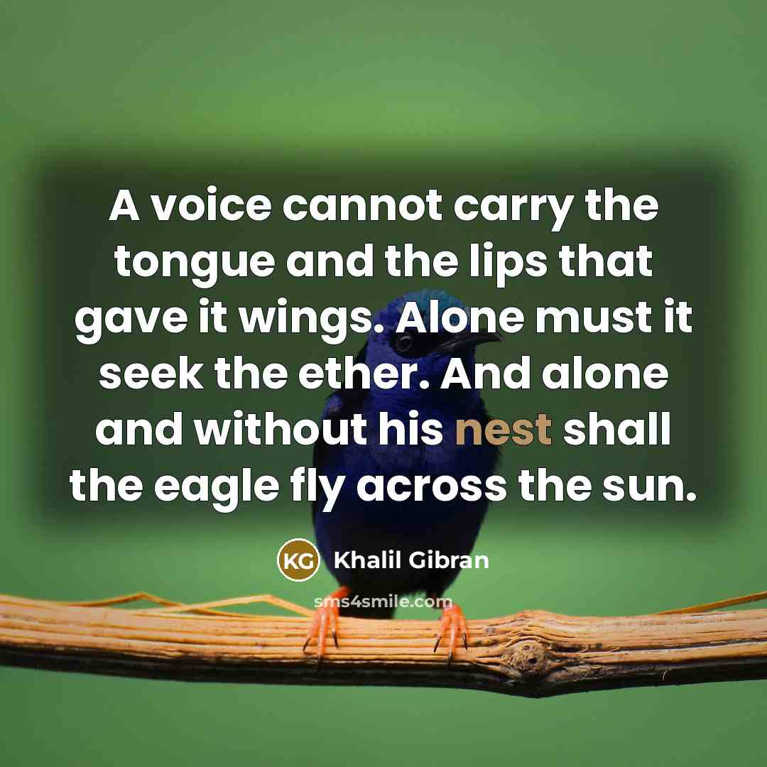 “A voice cannot carry the tongue and the lips that gave it wings. Alone must it seek the ether. And alone and without his nest shall the eagle fly across the sun.” quote by Khalil Gibran