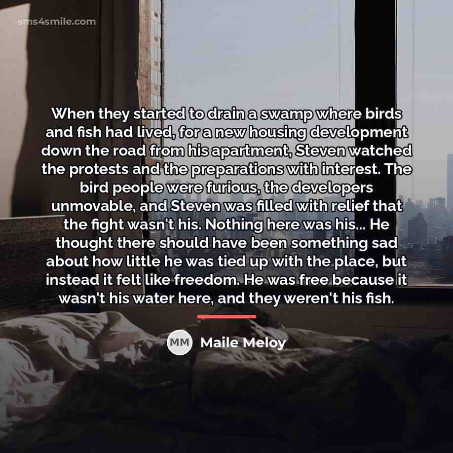 “When they started to drain a swamp where birds and…” quote by Maile Meloy