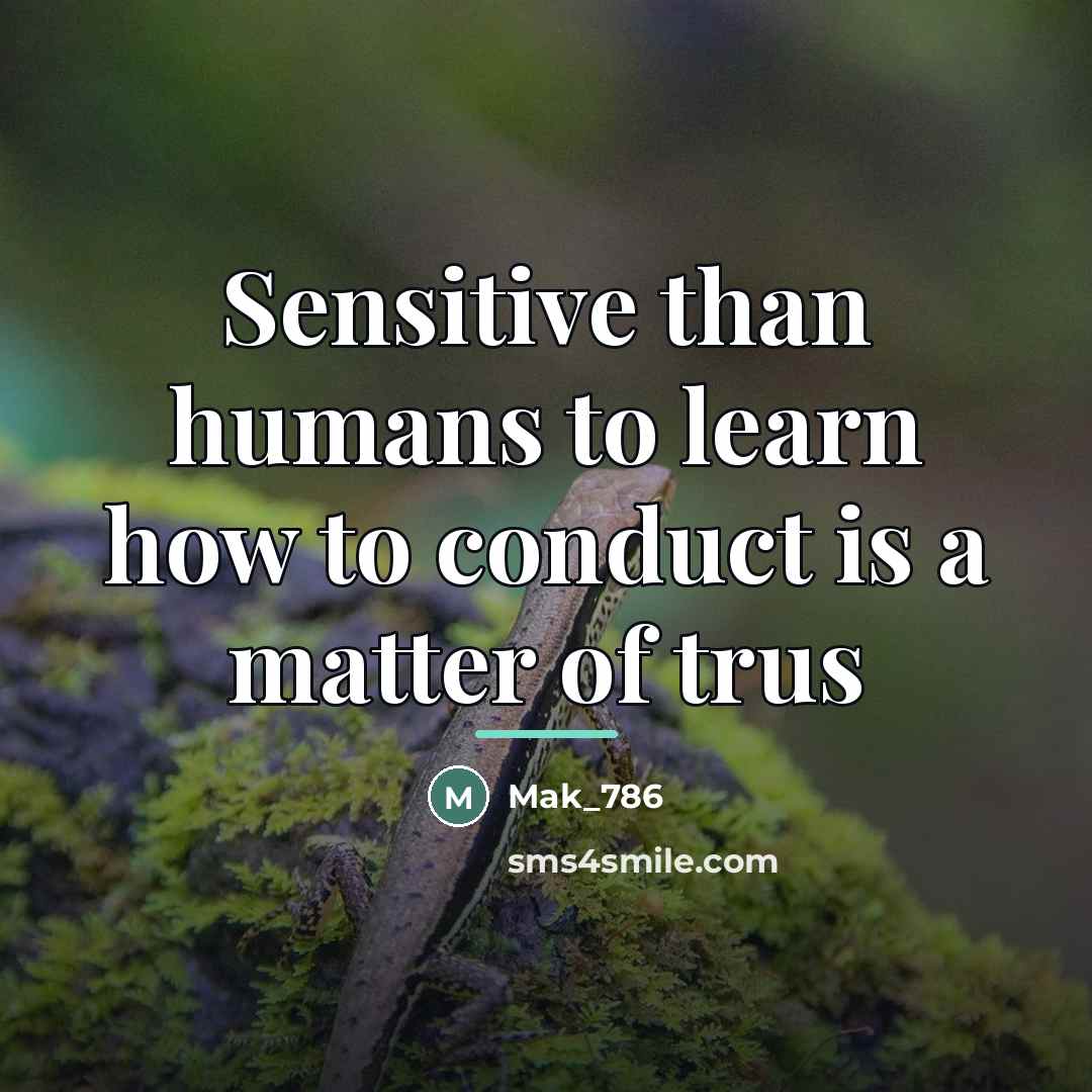 “Sensitive than humans to learn how to conduct is a…” quote by Mak_786