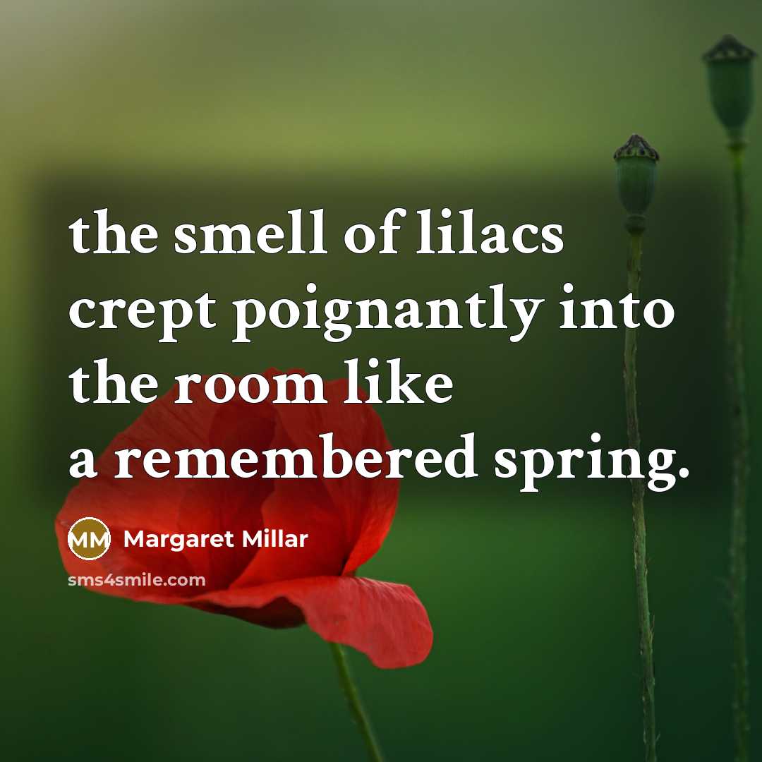 “the smell of lilacs crept poignantly into the room like…” quote by Margaret Millar