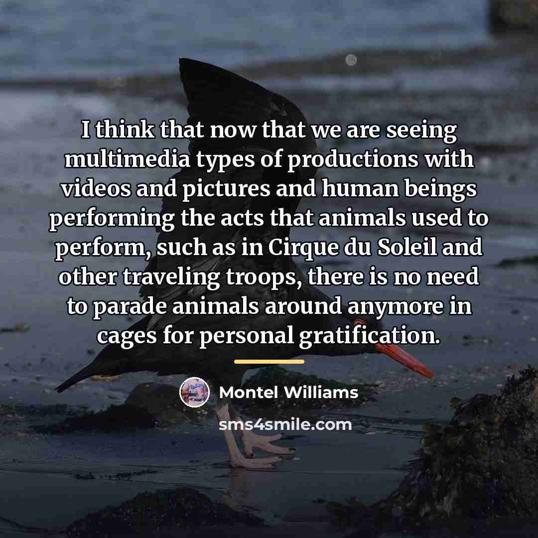 “I think that now that we are seeing multimedia types…” quote by Montel Williams