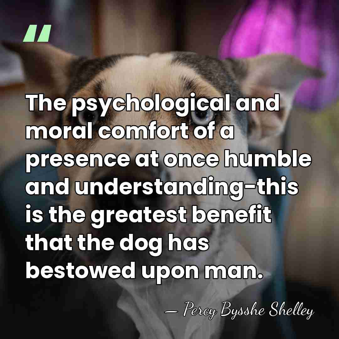 The psychological and moral comfort of a presence at once humble and&hellip; - Percy Bysshe Shelley