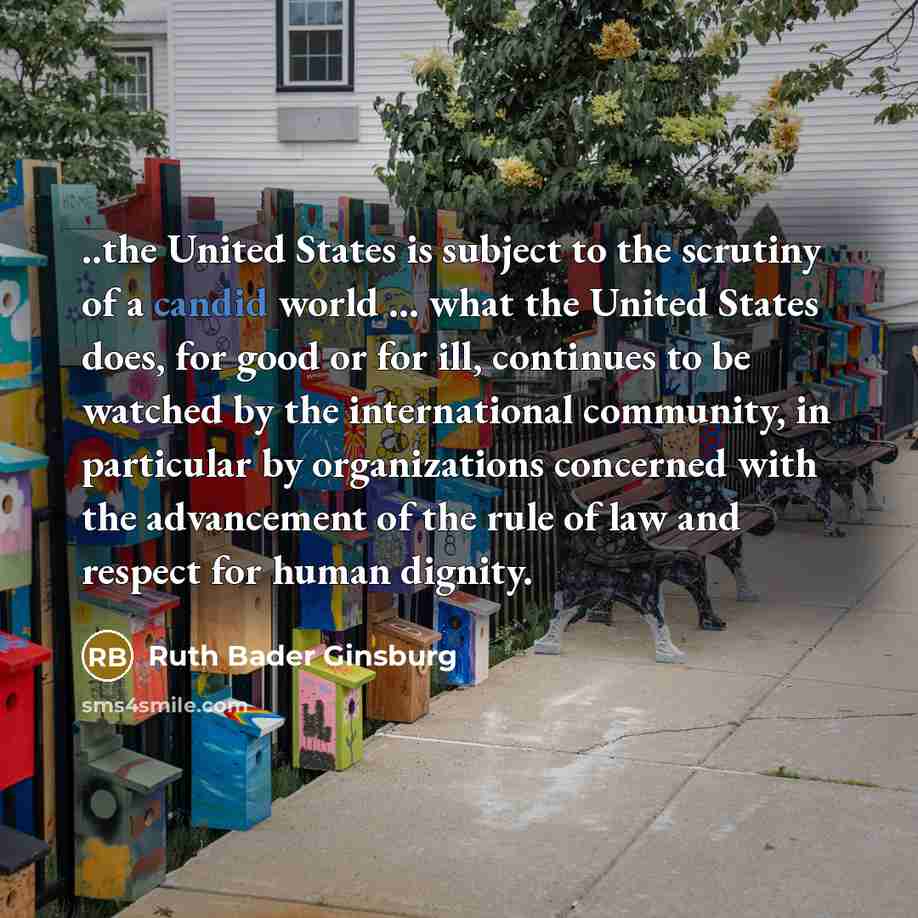 “..the United States is subject to the scrutiny of a…” quote by Ruth Bader Ginsburg