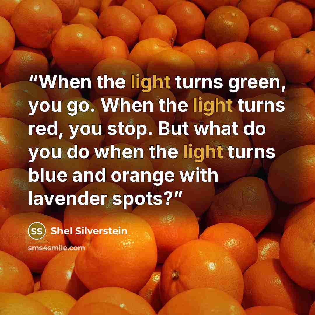 “When the light turns green, you go. When the light turns red, you stop. But what do you do when the light turns blue and orange with lavender spots?” quote by Shel Silverstein