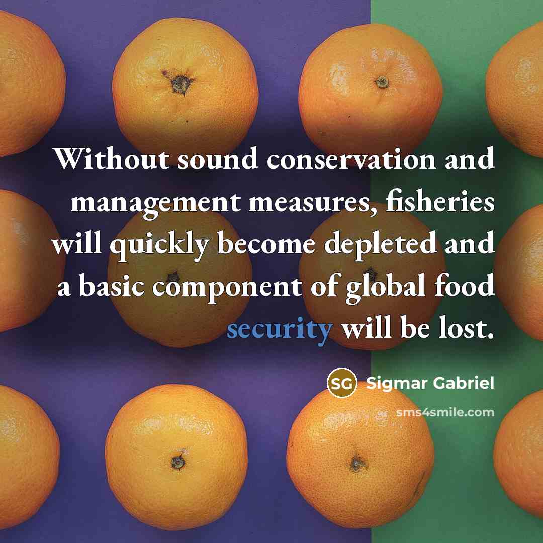 “Without sound conservation and management measures, fisheries will quickly become…” quote by Sigmar Gabriel