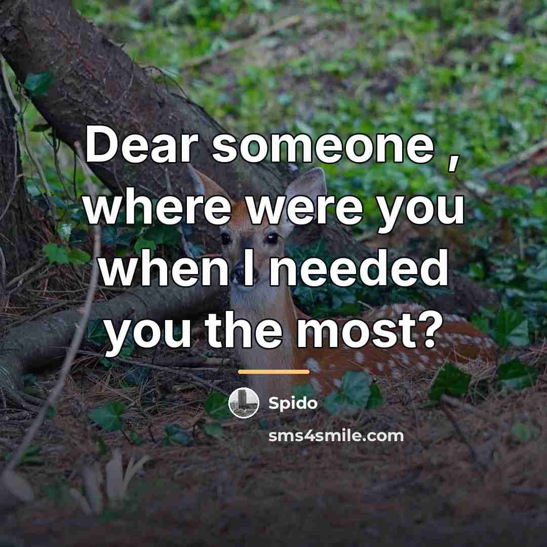 “Dear someone , where were you when I needed you…” quote by Spido