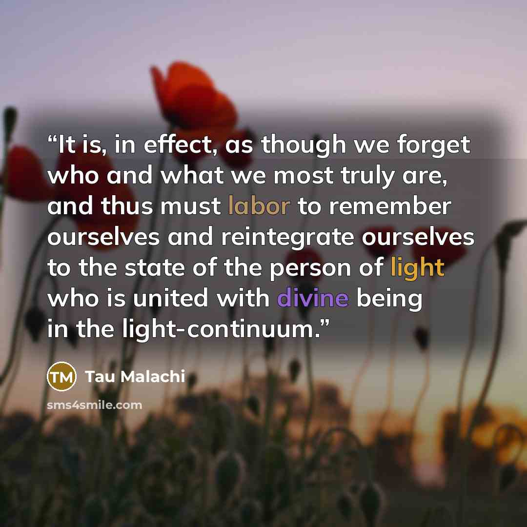 “It is, in effect, as though we forget who and what we most truly are, and thus must labor to remember ourselves and reintegrate ourselves to the state of the person of light who is united with divine being in the light-continuum.” quote by Tau Malachi