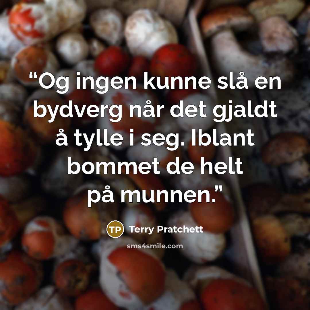 “Og ingen kunne slå en bydverg når det gjaldt å tylle i seg. Iblant bommet de helt på munnen.” quote by Terry Pratchett