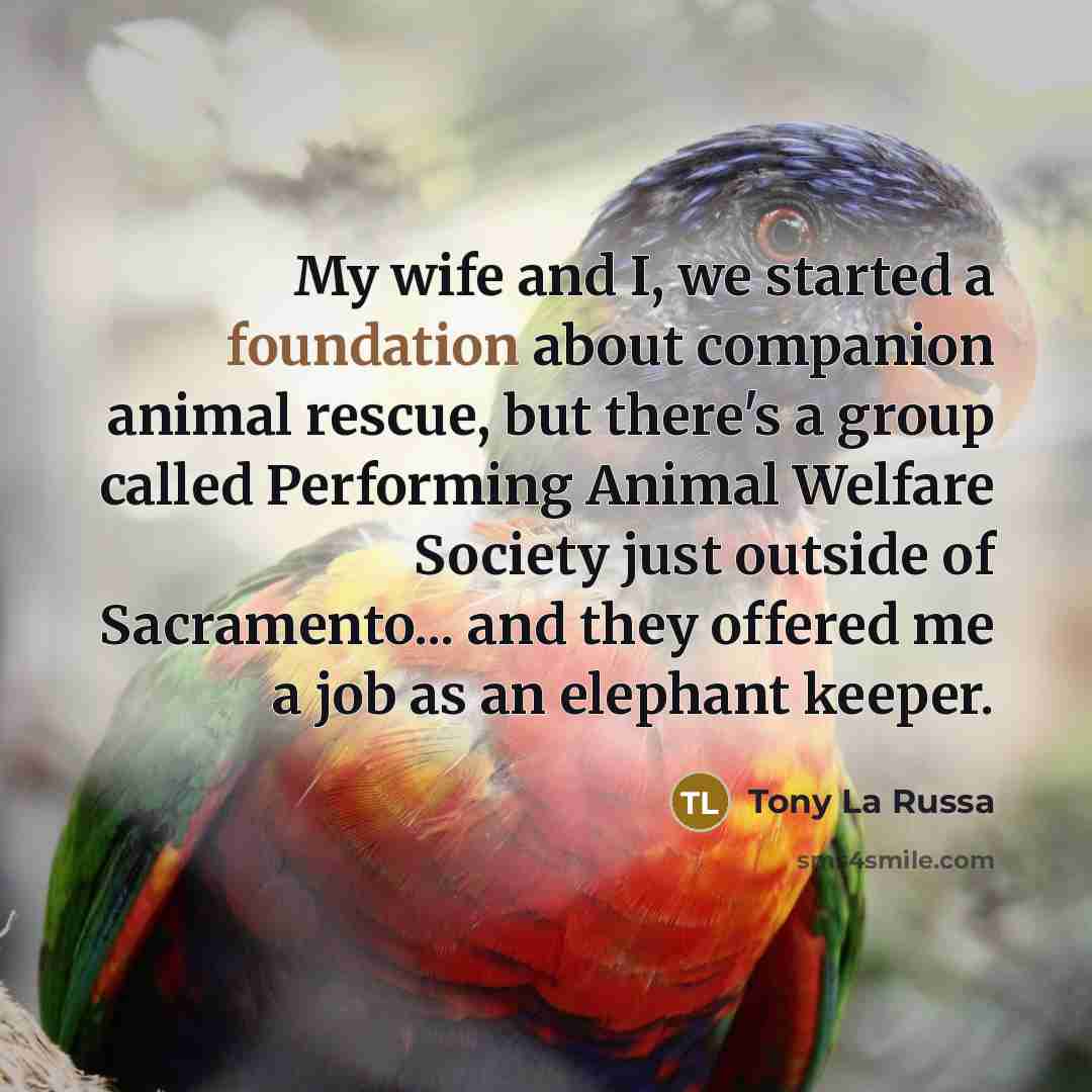 “My wife and I, we started a foundation about companion…” quote by Tony La Russa