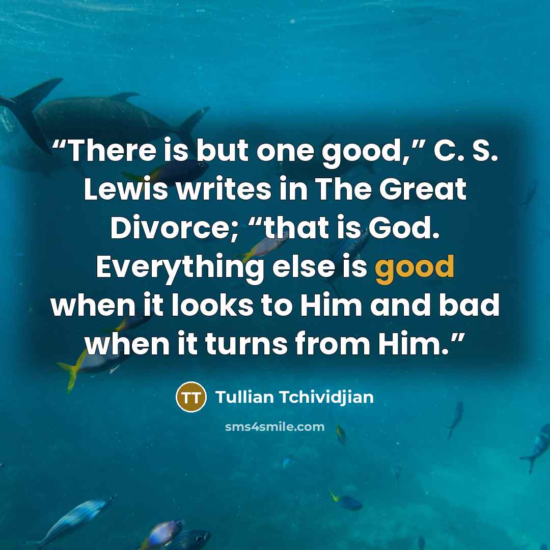 “There is but one good,” C. S. Lewis writes in The Great Divorce; “that is God. Everything else is good when it looks to Him and bad when it turns from Him.” quote by Tullian Tchividjian