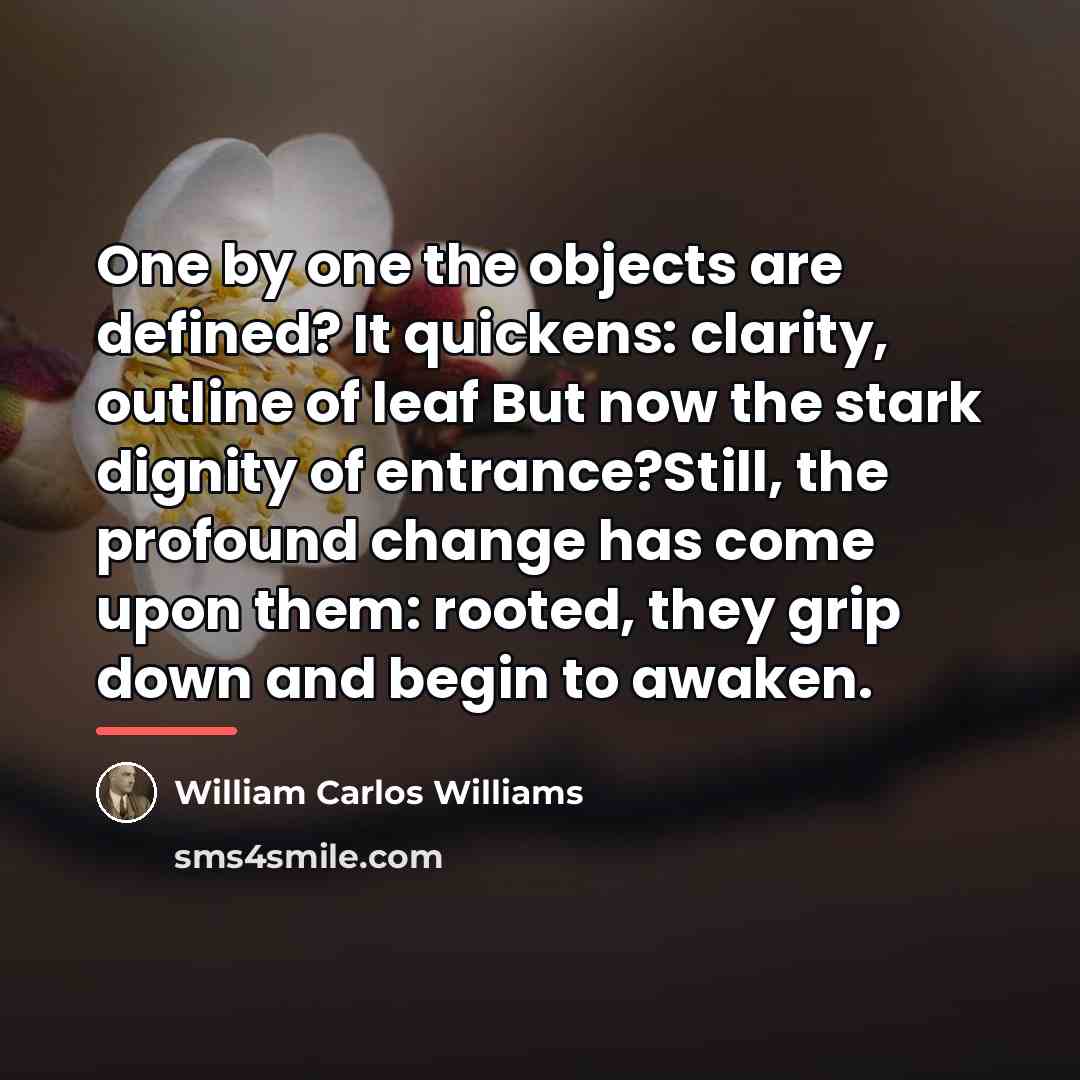 “One by one the objects are defined? It quickens: clarity,…” quote by William Carlos Williams