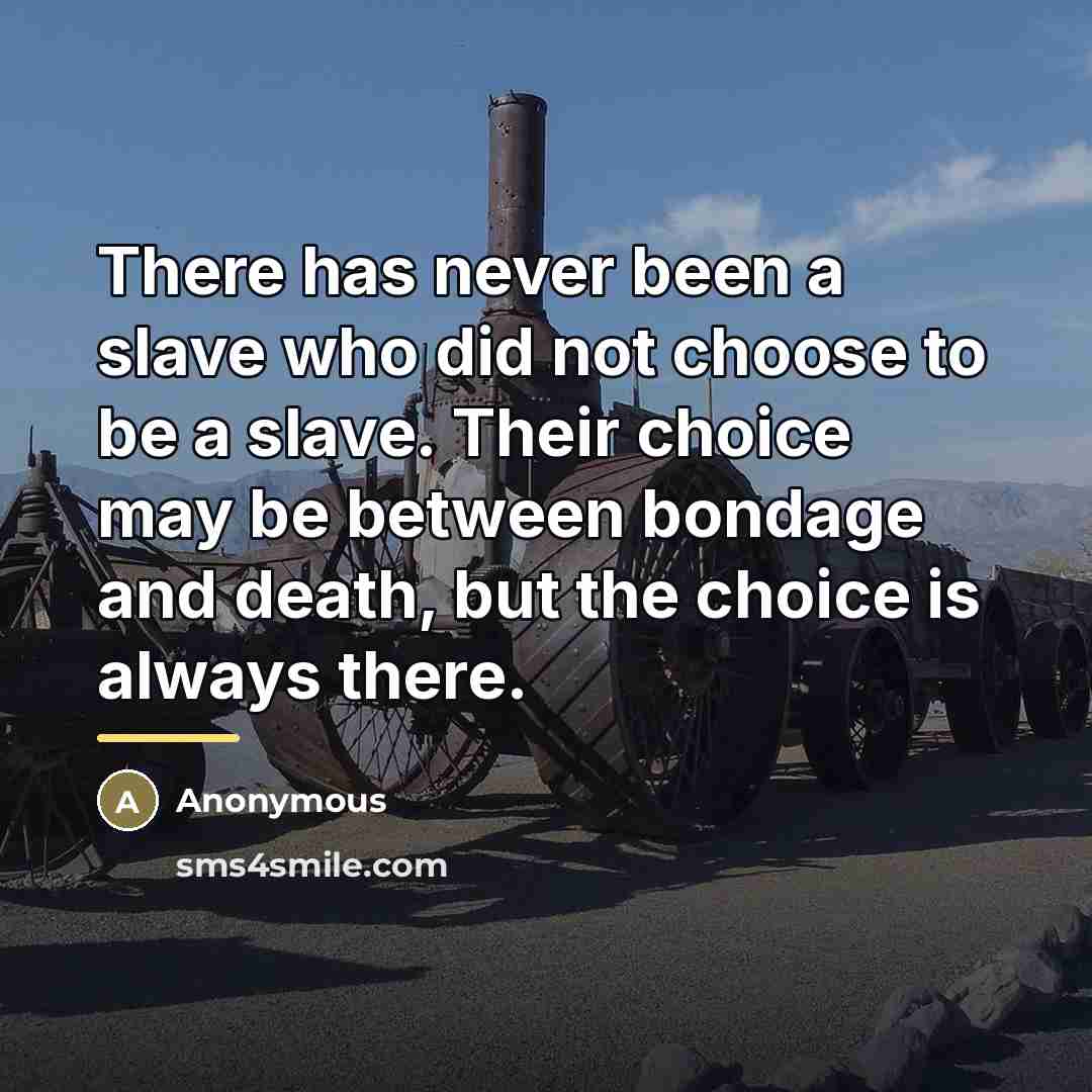 “There has never been a slave who did not choose…” quote by Anonymous