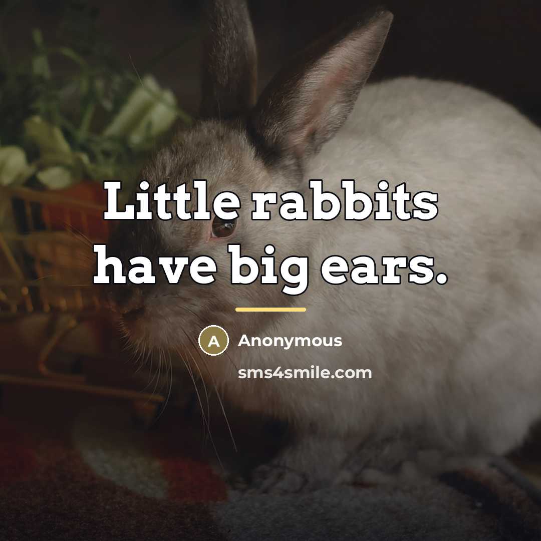“Little rabbits have big ears.…” quote by Anonymous