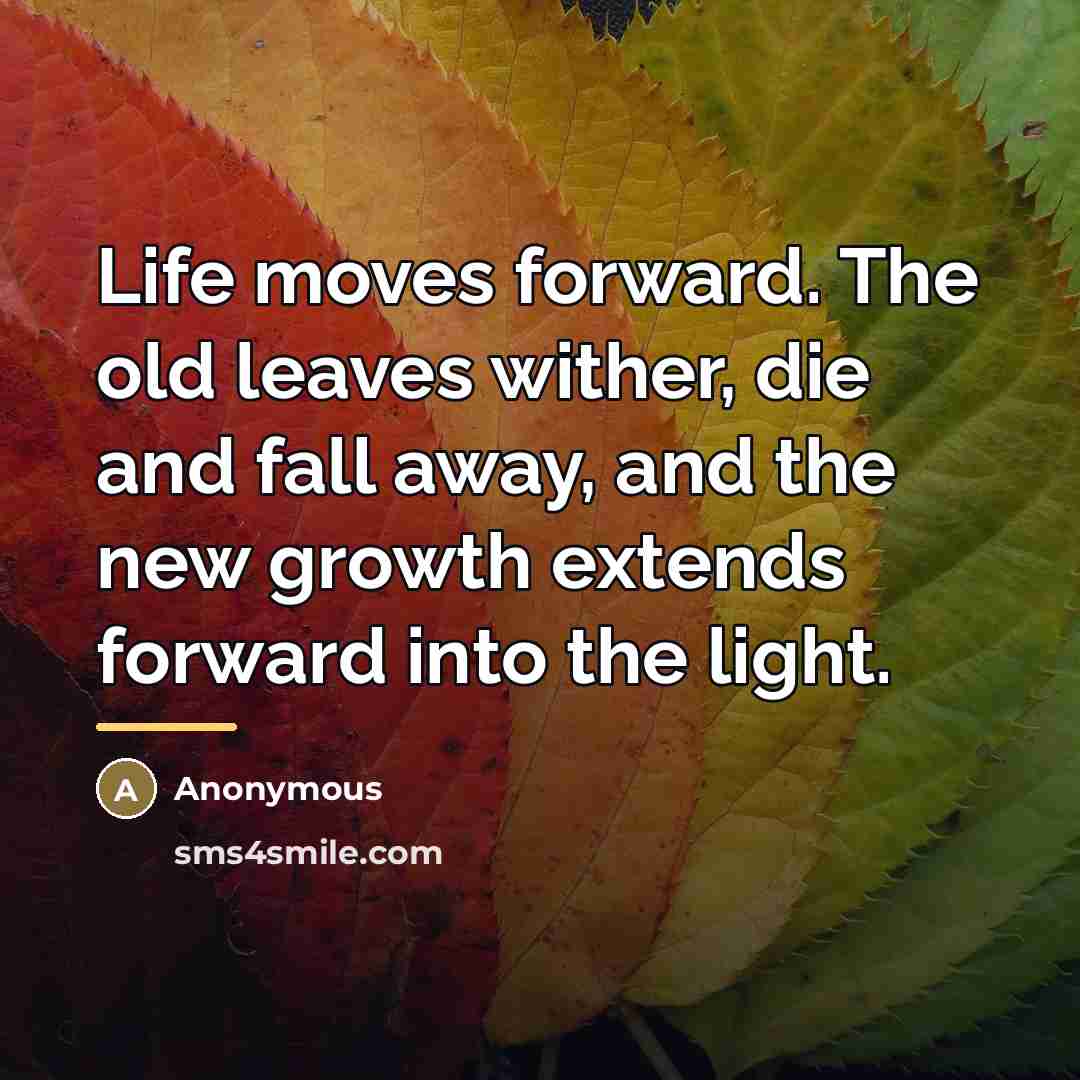 “Life moves forward. The old leaves wither, die and fall…” quote by Anonymous