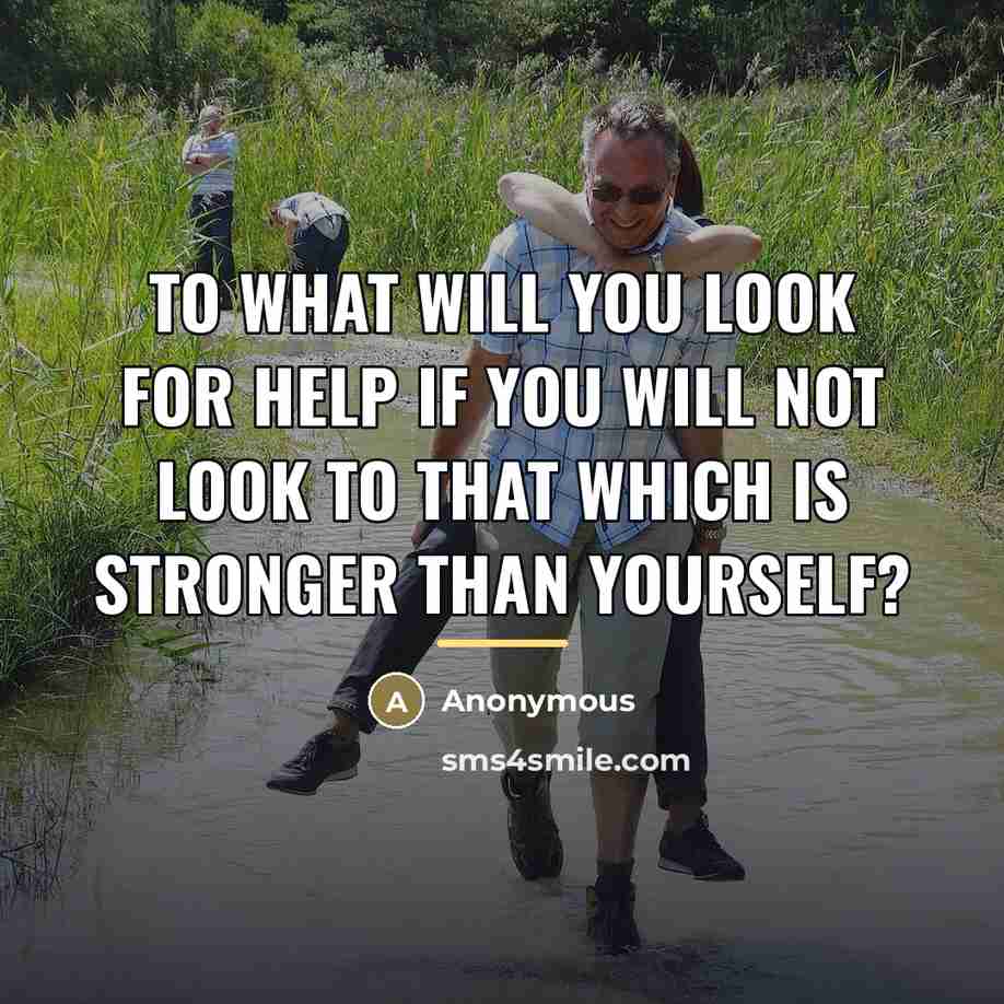 “To what will you look for help if you will…” quote by Anonymous