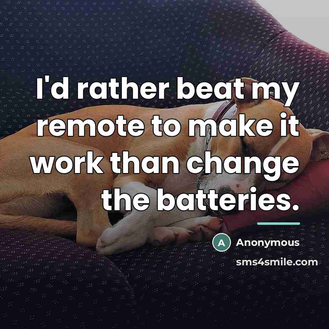 “I'd rather beat my remote to make it work than…” quote by Anonymous