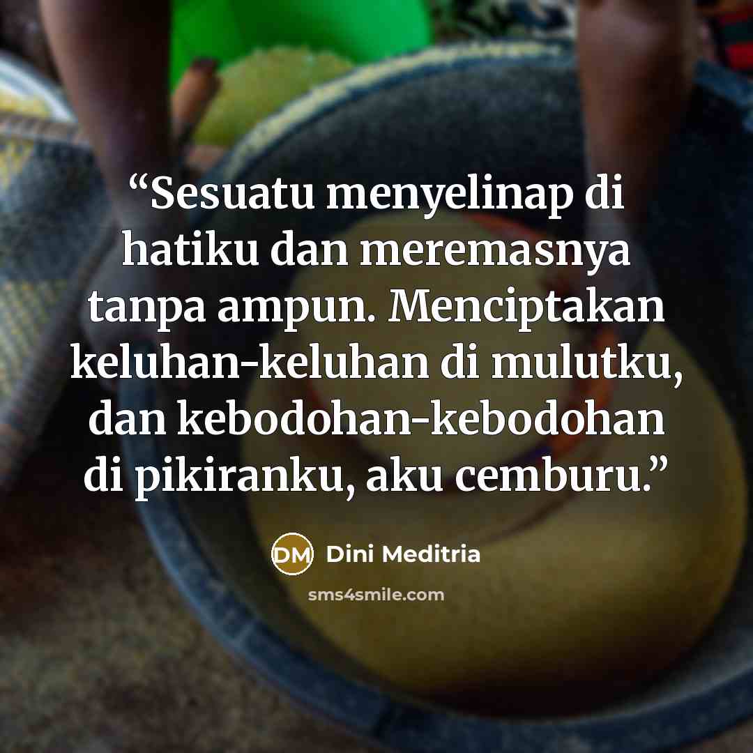“Sesuatu menyelinap di hatiku dan meremasnya tanpa ampun. Menciptakan keluhan-keluhan di mulutku, dan kebodohan-kebodohan di pikiranku, aku cemburu.” quote by Dini Meditria