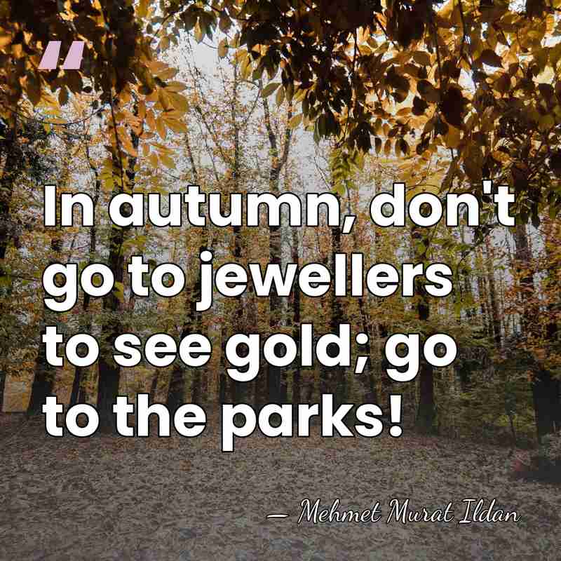 In autumn, don't go to jewellers to see gold; go to the&hellip; - Mehmet Murat Ildan