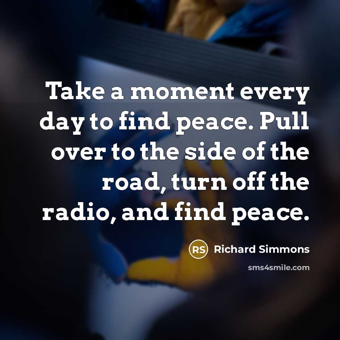 “Take a moment every day to find peace. Pull over…” quote by Richard Simmons