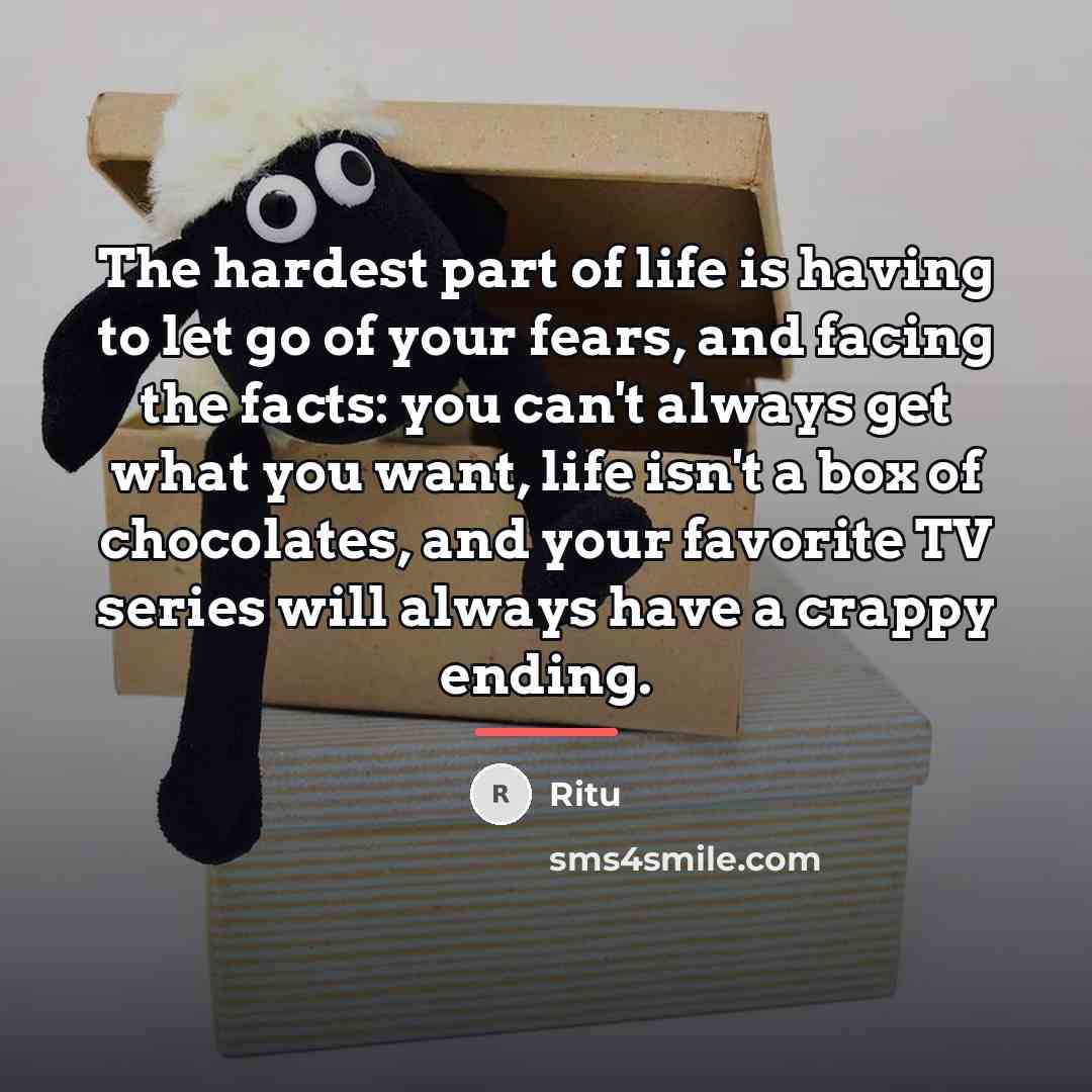 “The hardest part of life is having to let go…” quote by Ritu