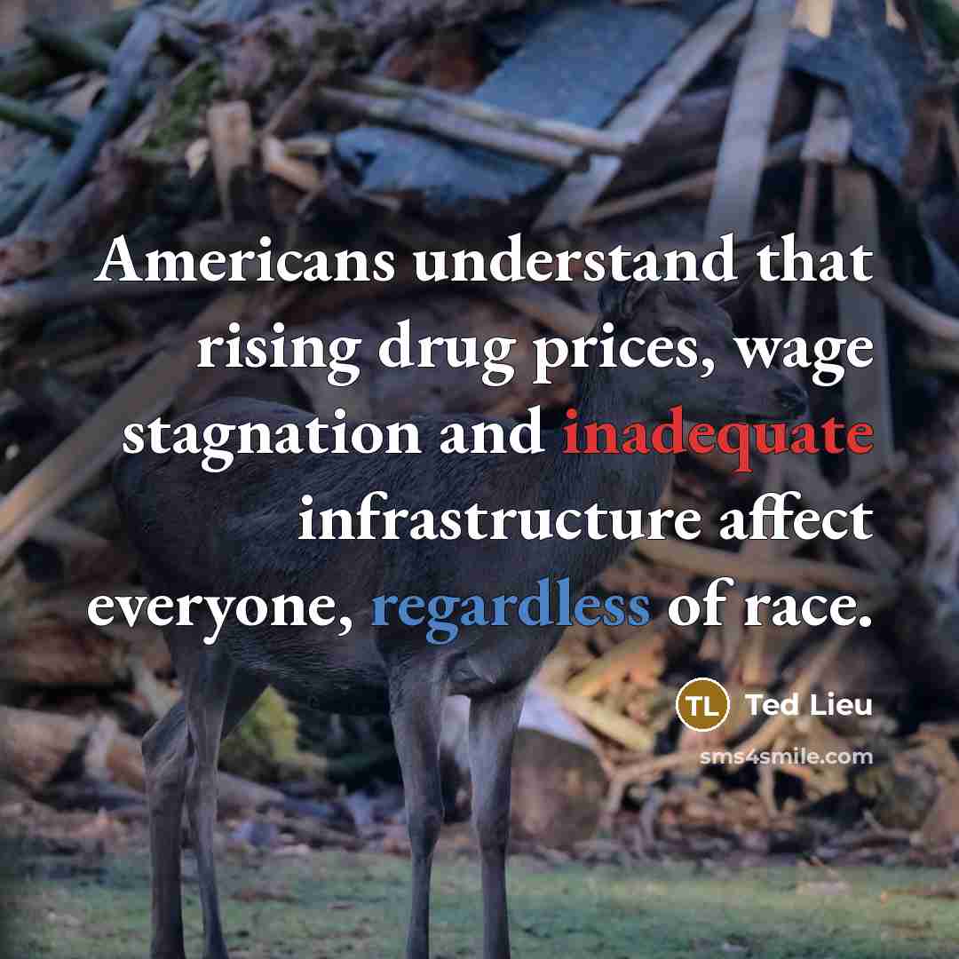 “Americans understand that rising drug prices, wage stagnation and inadequate infrastructure affect everyone, regardless of race.” quote by Ted Lieu