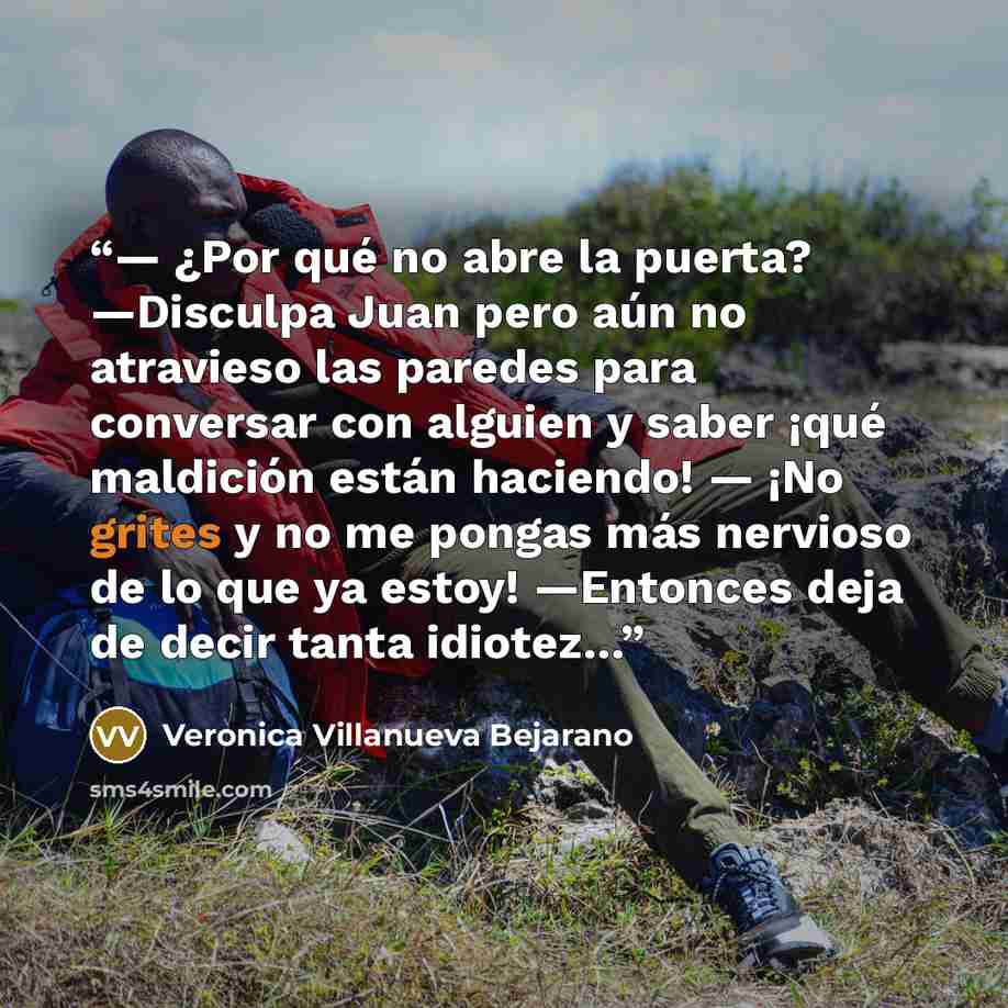 “— ¿Por qué no abre la puerta? —Disculpa Juan pero aún no atravieso las paredes para conversar con alguien y saber ¡qué maldición están haciendo! — ¡No grites y no me pongas más nervioso de lo que ya estoy! —Entonces deja de decir tanta idiotez…” quote by Veronica Villanueva Bejarano