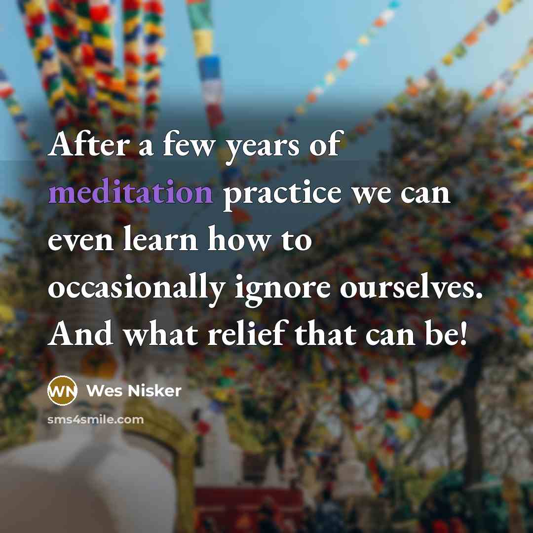 “After a few years of meditation practice we can even…” quote by Wes Nisker