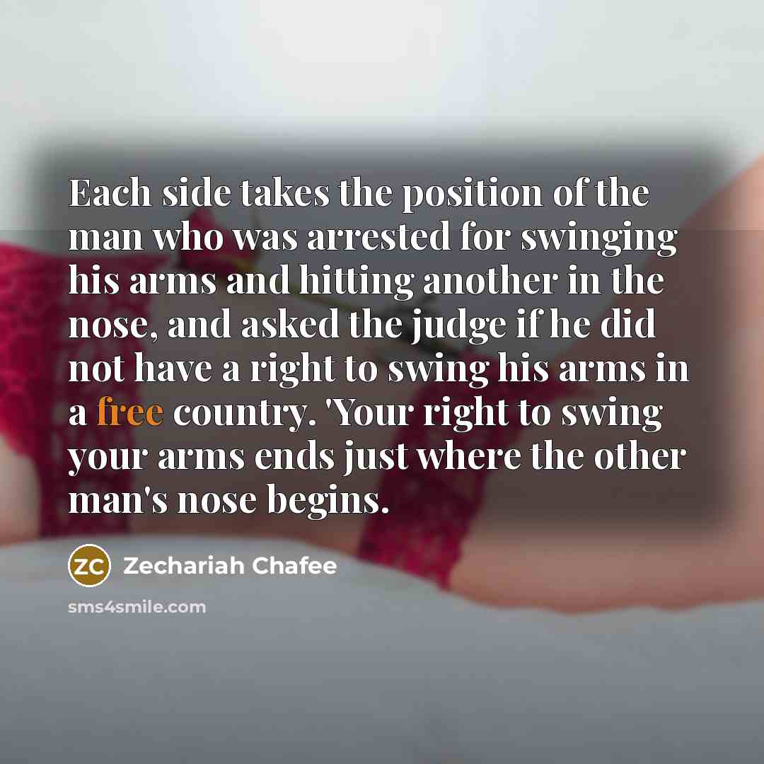 “Each side takes the position of the man who was…” quote by Zechariah Chafee