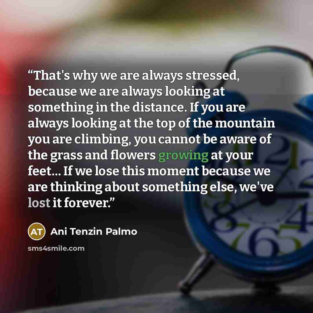 “That's why we are always stressed, because we are always looking at something in the distance. If you are always looking at the top of the mountain you are climbing, you cannot be aware of the grass and flowers growing at your feet… If we lose this moment because we are thinking about something…” quote by Ani Tenzin Palmo