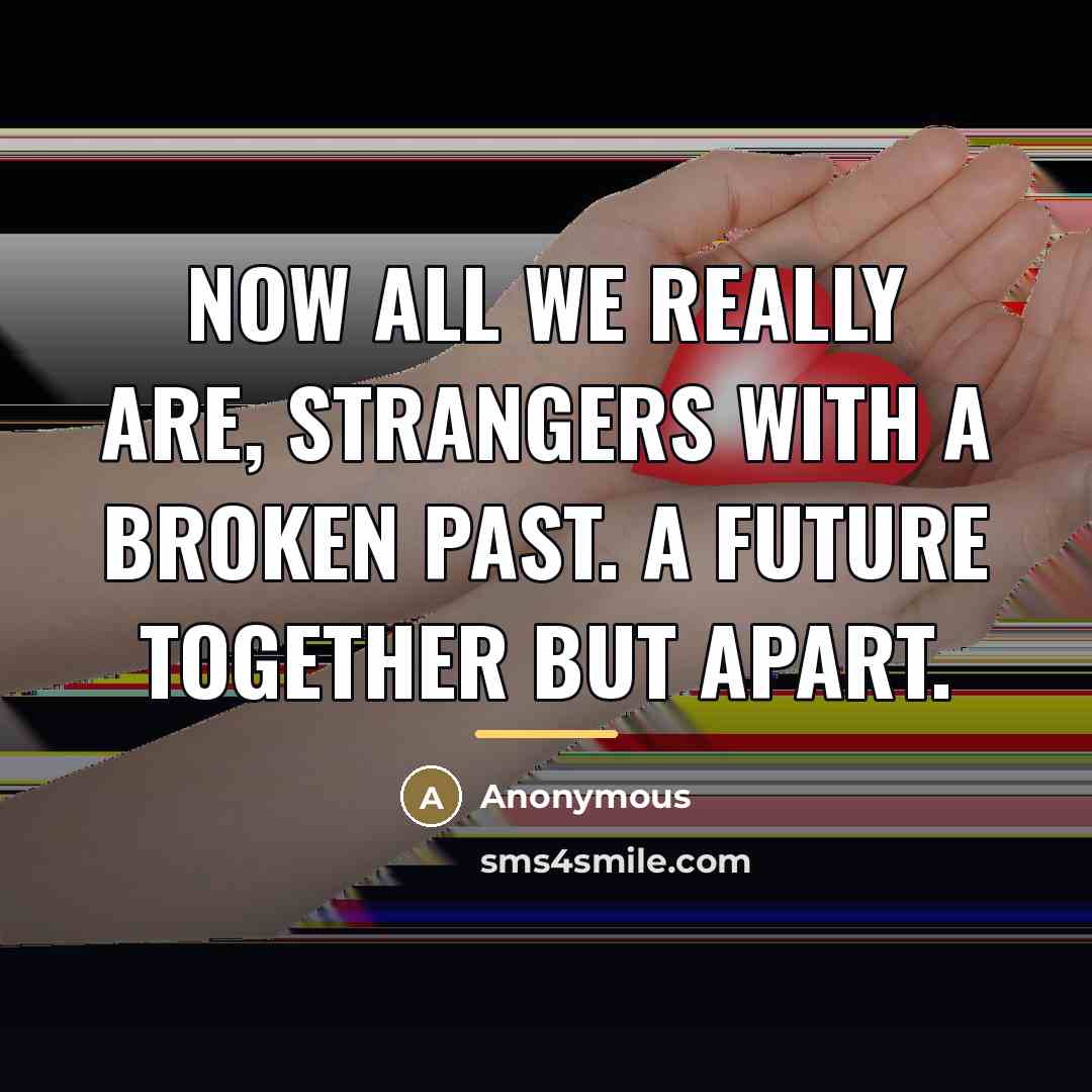 “Now all we really are, strangers with a broken past.…” quote by Anonymous