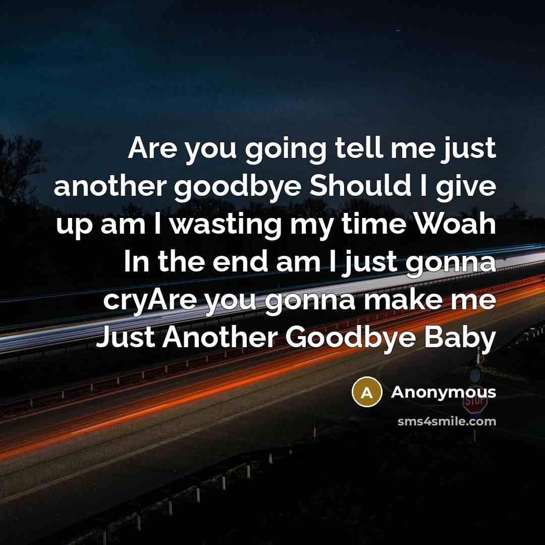 “Are you going tell me just another goodbye Should I give up am I wasting my time Woah In the end am I just gonna cryAre you gonna make me Just Another Goodbye Baby” quote by Anonymous