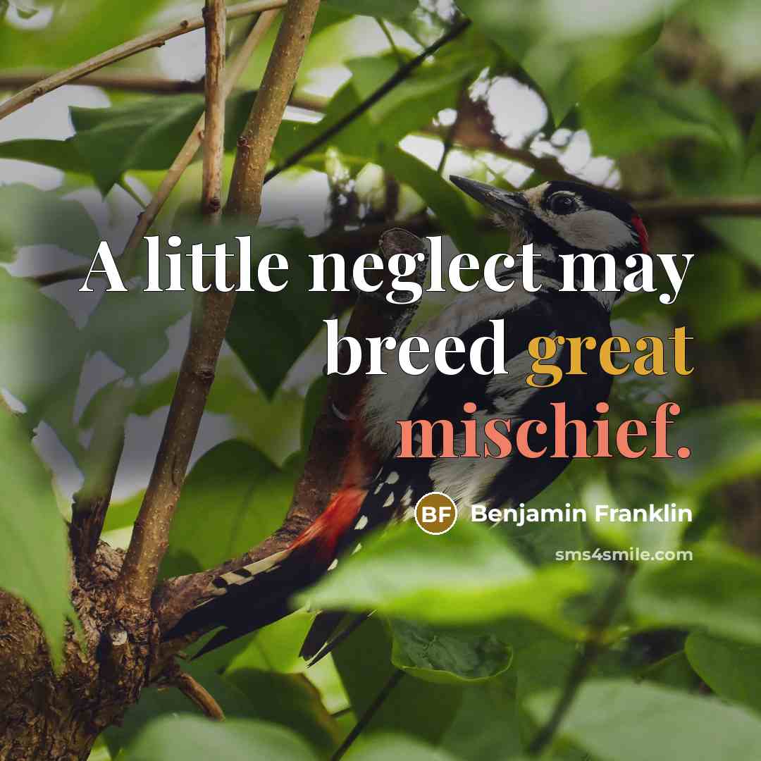 “A little neglect may breed great mischief.…” quote by Benjamin Franklin