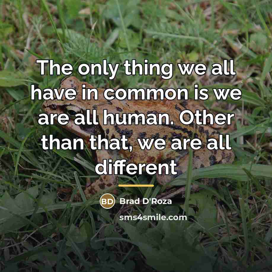 “The only thing we all have in common is we…” quote by Brad D'Roza